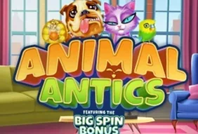 Animal Antics